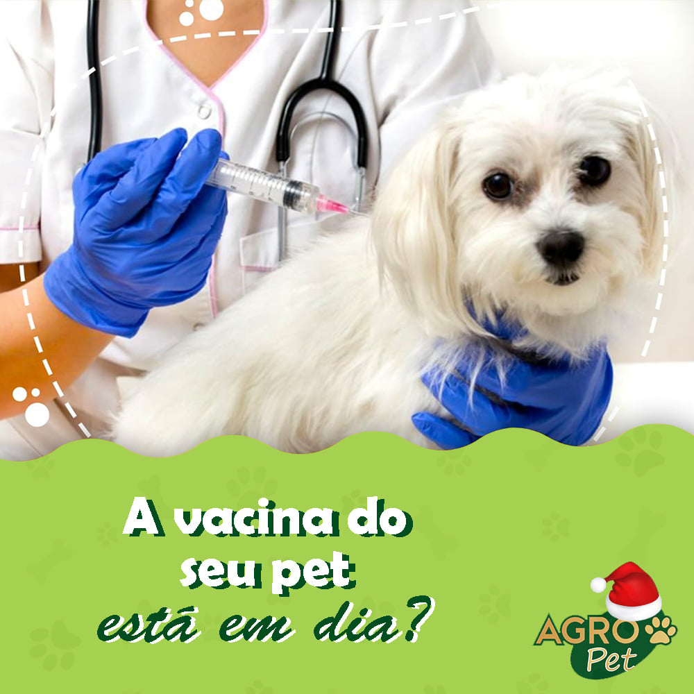 CLÍNICA VETERINÁRIA EM ARIQUEMES - RO