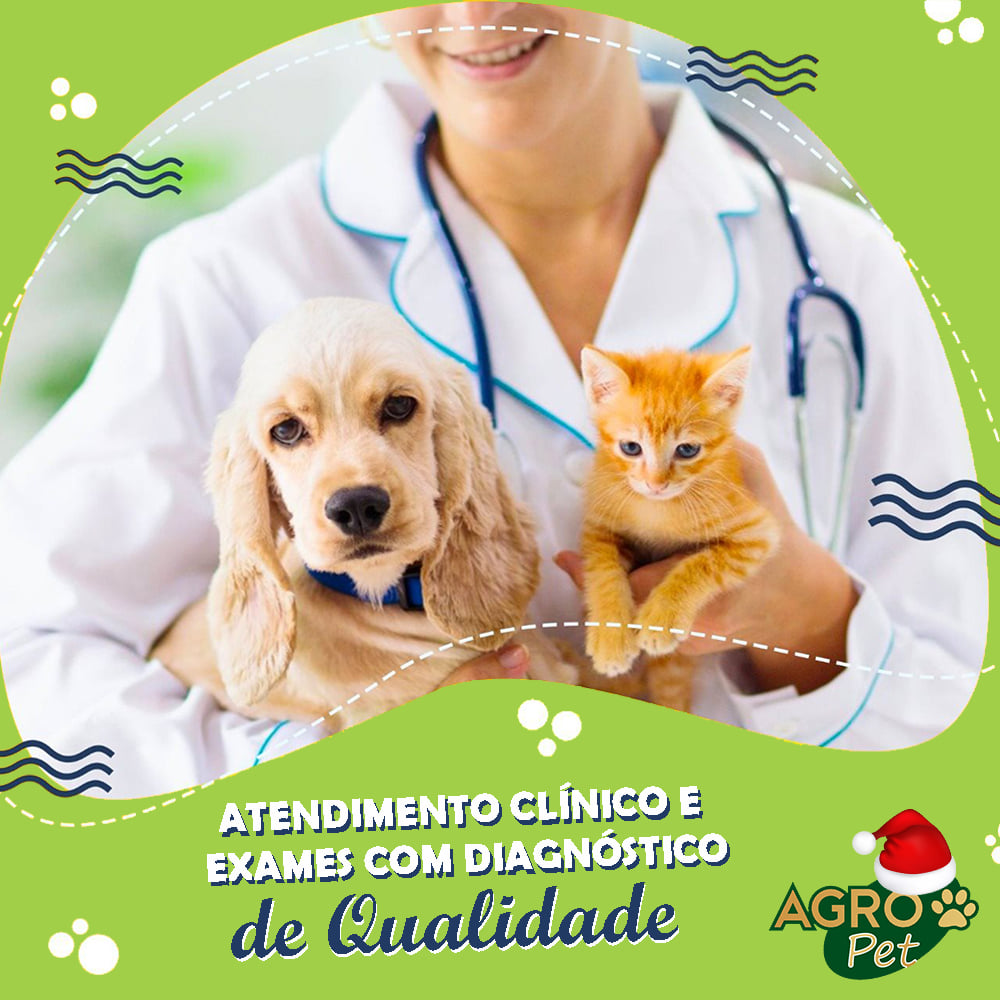 CLÍNICA VETERINÁRIA EM ARIQUEMES - RO