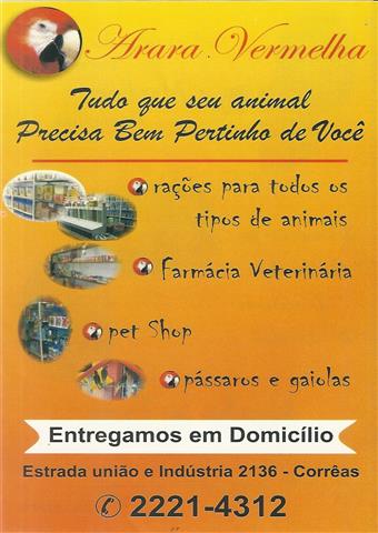 CONSULTÓRIO VETERINÁRIO E PET SHOP EM PETRÓPOLIS - ARARA VERMELHA