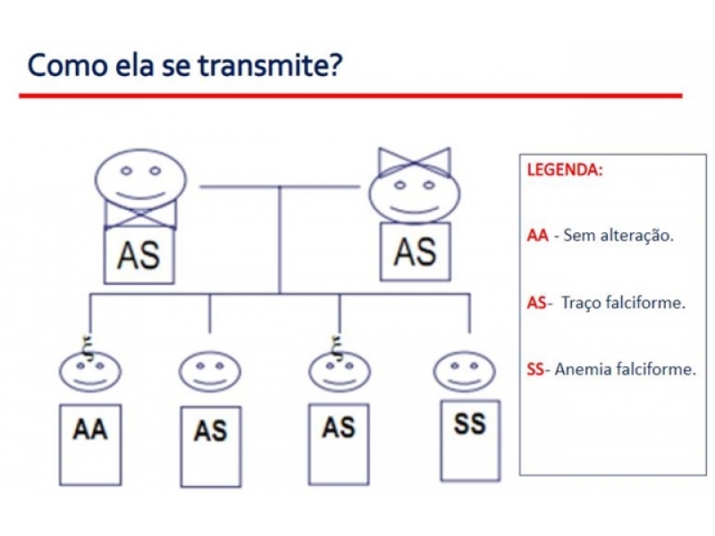 Tratamento Natural para Anemia Falciforme em Rio Branco - NATURAL FITOFARMA