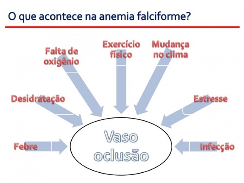 Tratamento Natural para Anemia Falciforme em Rio Branco - NATURAL FITOFARMA