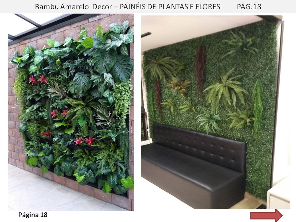 Bambu Amarelo Decor Gonzaga Santos e Baixada Santista