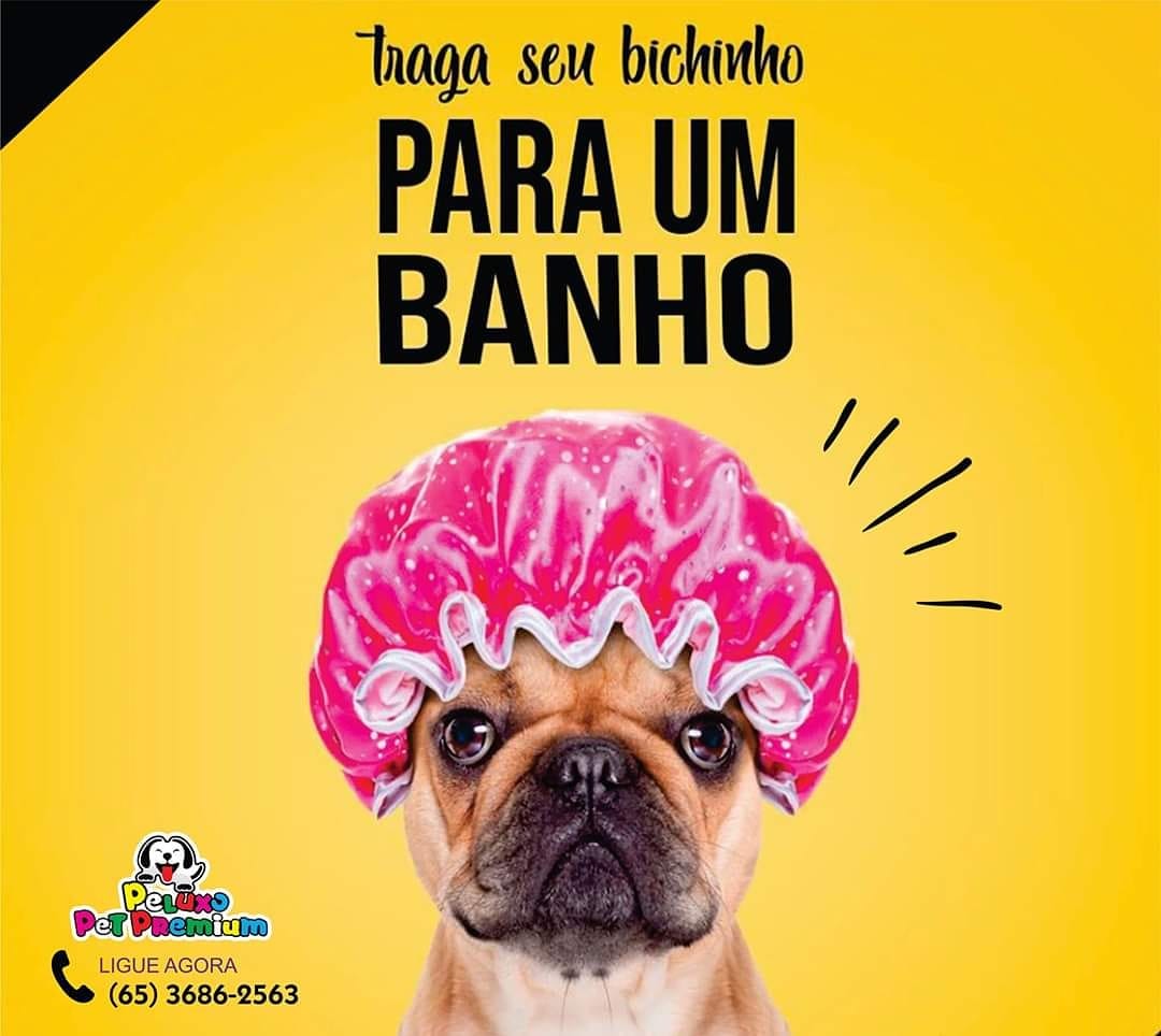 BANHO E TOSA EM VÁRZEA GRANDE - MT