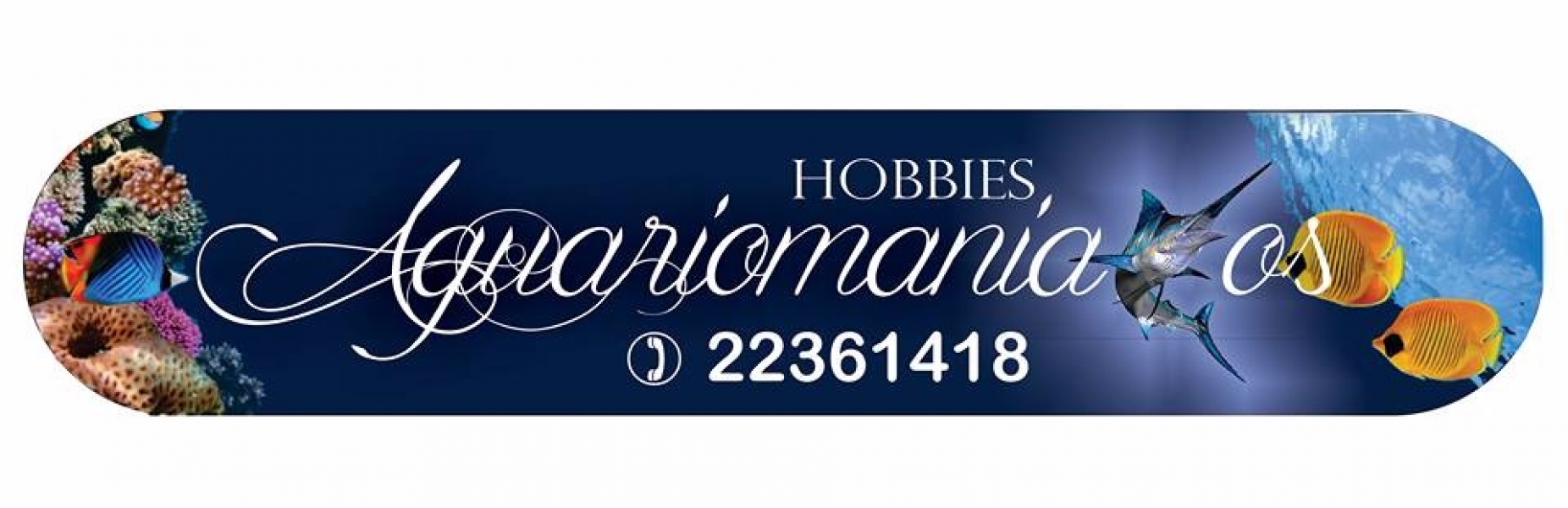 Aquariomaníacos Peixes Ornamentais