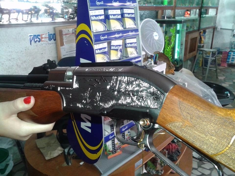 AIRSOFT EM PETRÓPOLIS 