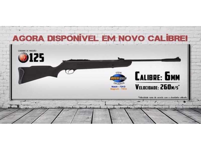 AIRSOFT EM PETRÓPOLIS 