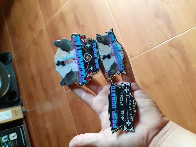 PLACAS DE GAIOLAS EM PETRÓPOLIS  - PLACAS PARA TORNEIOS - RJ