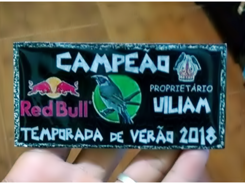 PLACAS DE GAIOLAS EM PETRÓPOLIS  - PLACAS PARA TORNEIOS - RJ