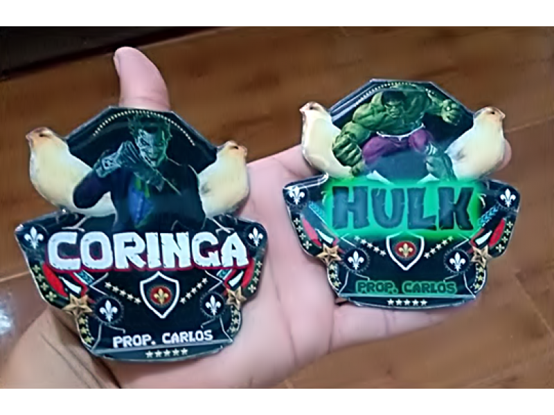 PLACAS DE GAIOLAS EM PETRÓPOLIS  - PLACAS PARA TORNEIOS - RJ