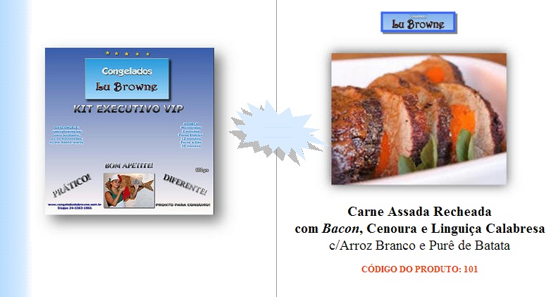 COMIDA CONGELADA NO RIO DE JANEIRO - LU BROWNE - RJ