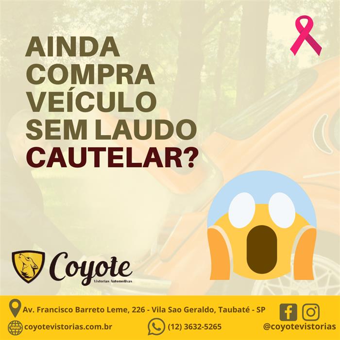 VISTORIA VEÍCULAR NO QUIRIRIM - SP