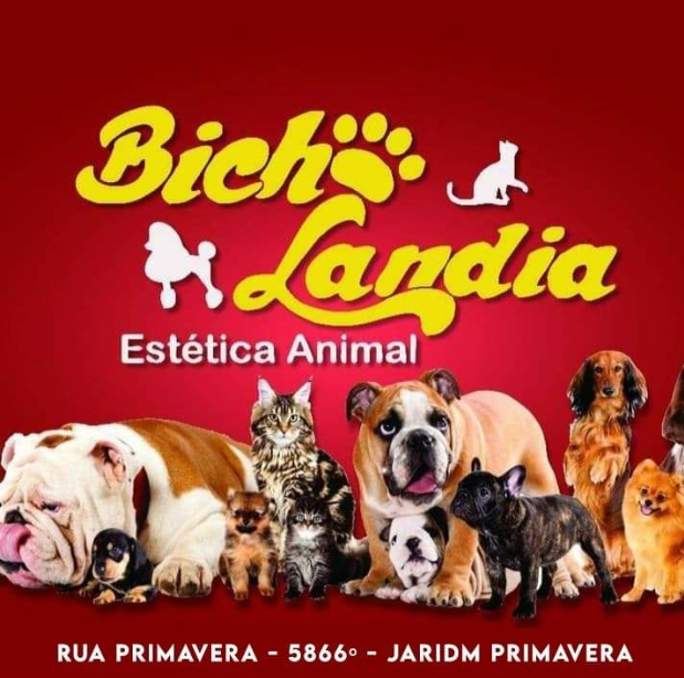 Petshop bicholandia