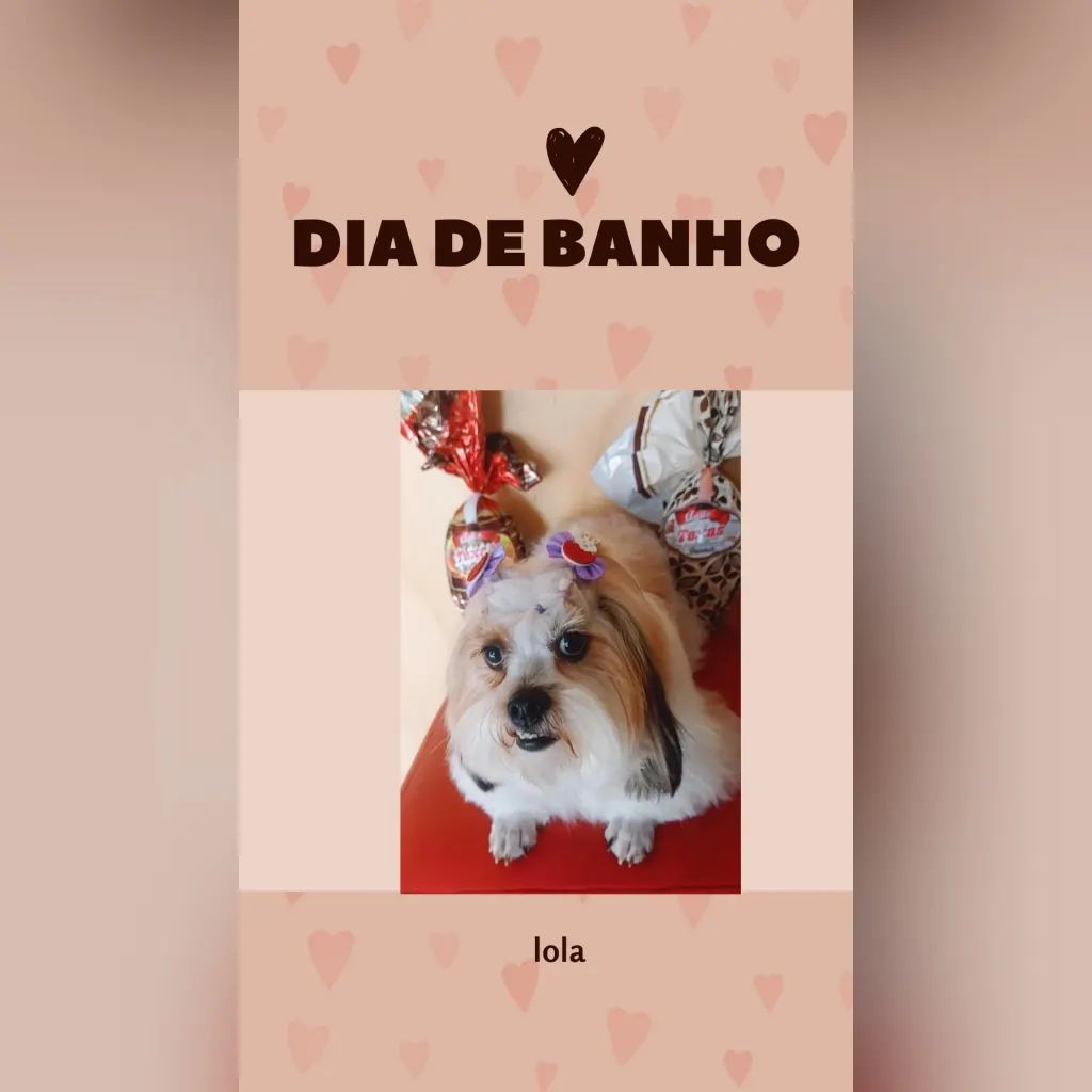 BANHO E TOSA EM SINOP - MT