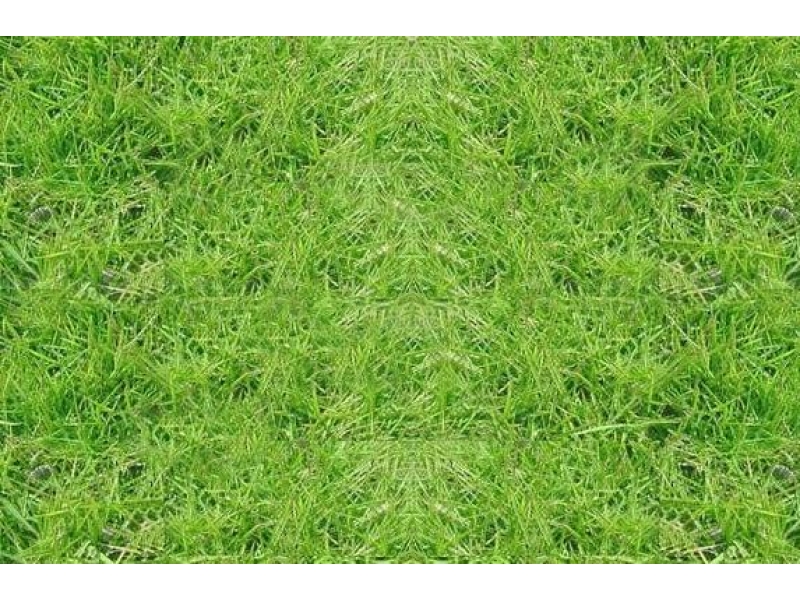 GRAMA EM ITAPETININGA - WhatsApp Online - RJ