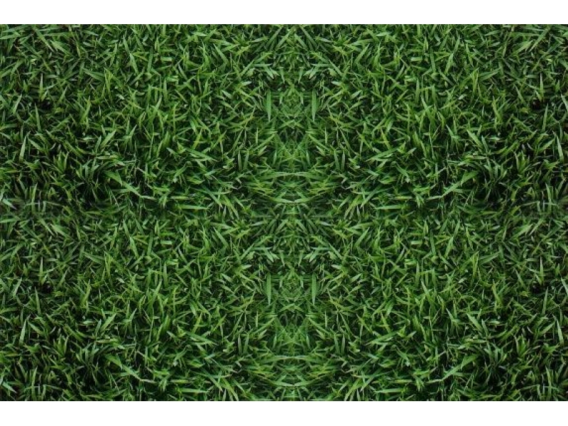 GRAMA EM ITAPETININGA - WhatsApp Online - RJ