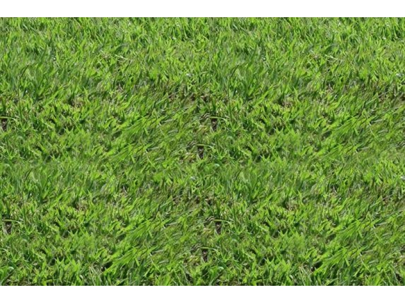 GRAMA EM ITAPETININGA - WhatsApp Online - RJ