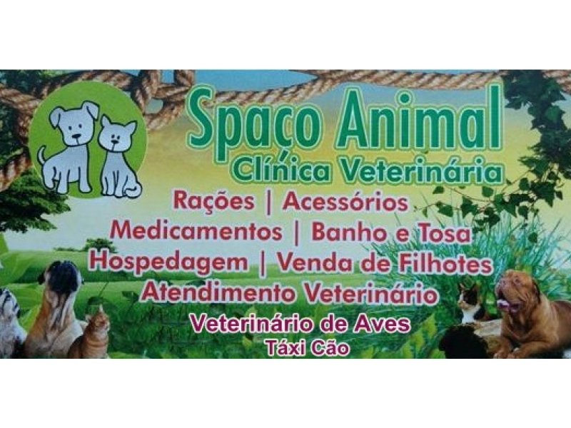 CONSULTÓRIO VETERINÁRIO EM JUIZ DE FORA