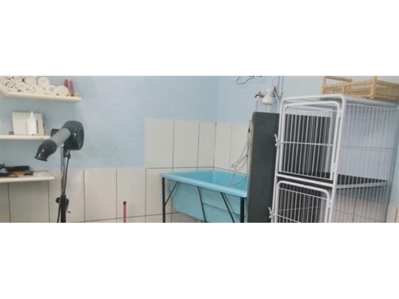 CONSULTÓRIO VETERINÁRIO EM JUIZ DE FORA