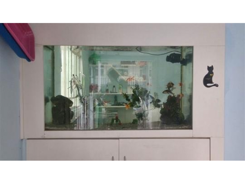 CONSULTÓRIO VETERINÁRIO EM JUIZ DE FORA