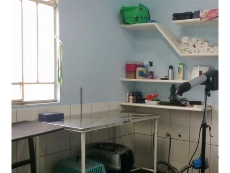 CONSULTÓRIO VETERINÁRIO EM JUIZ DE FORA