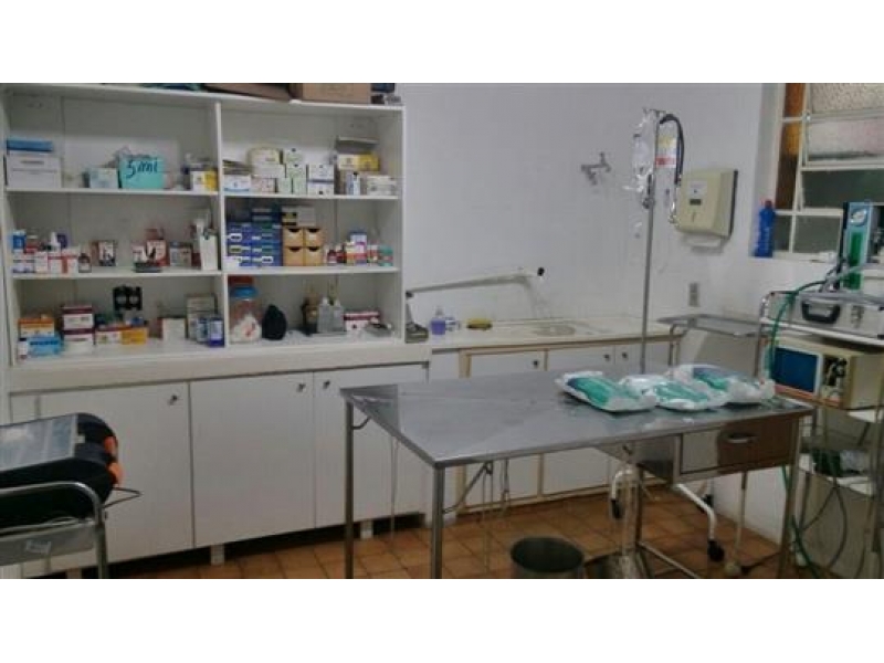 CONSULTÓRIO VETERINÁRIO EM JUIZ DE FORA