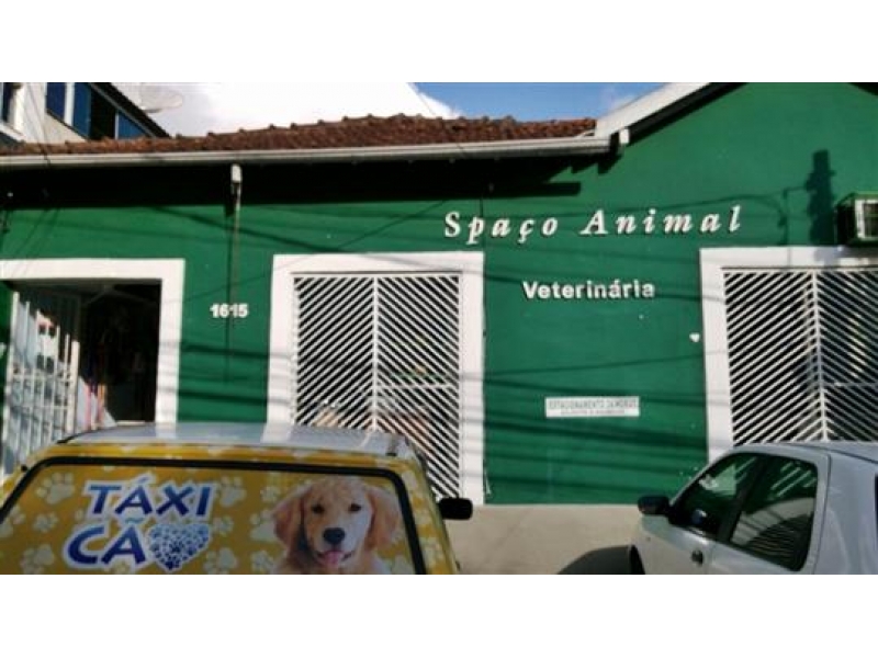 CONSULTÓRIO VETERINÁRIO EM JUIZ DE FORA