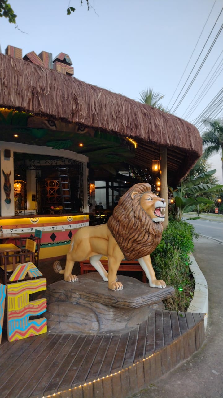 VENDA DE PIAÇAVA EM PARATY RJ