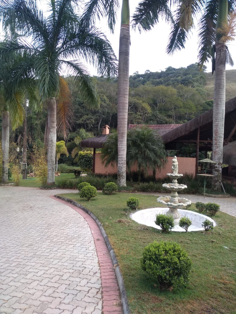 VENDA DE PIAÇAVA EM PARATY RJ