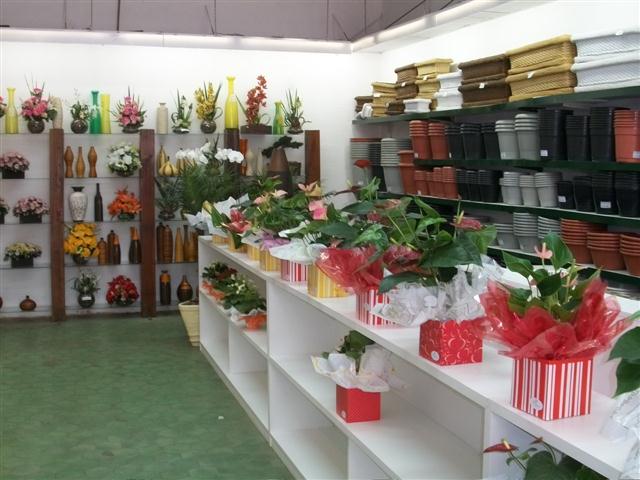 FLORICULTURA EM TRES RIOS