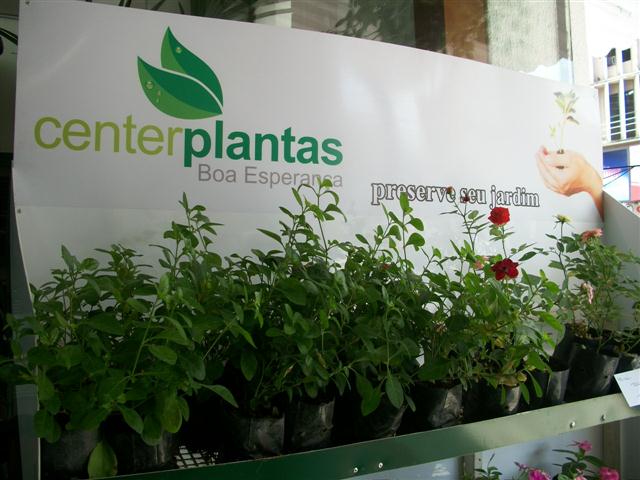 FLORICULTURA EM TRES RIOS