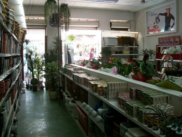 FLORICULTURA EM TRES RIOS