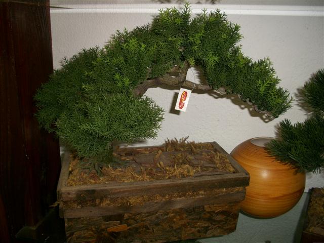 FLORICULTURA EM TRES RIOS