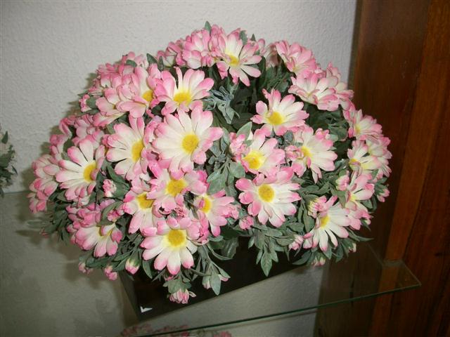 FLORICULTURA EM TRES RIOS