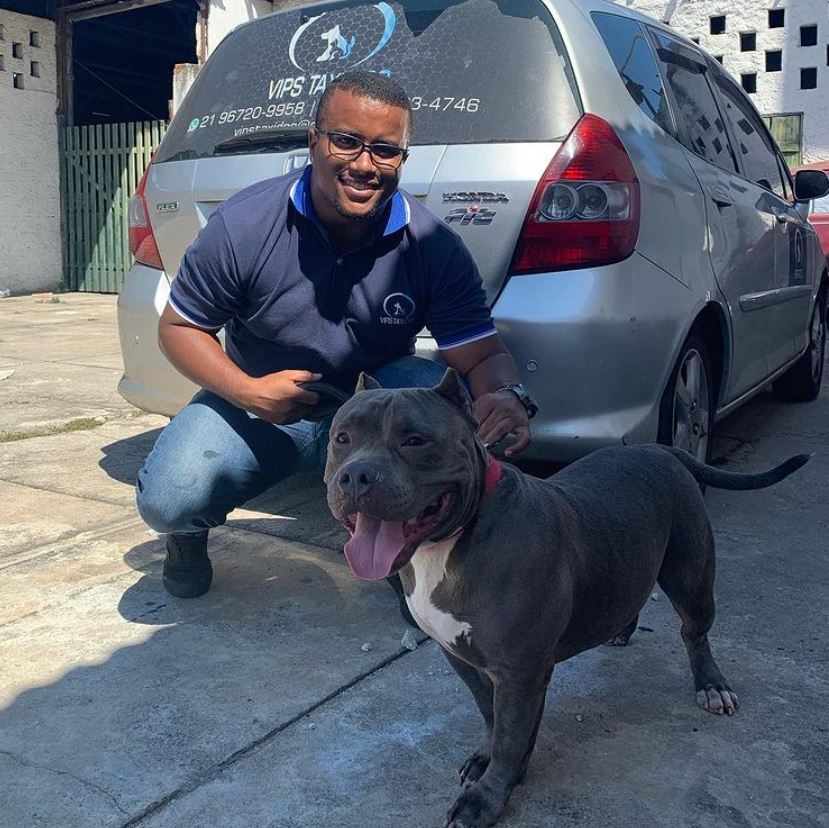 TAXI DOG NO RECREIO DOS BANDEIRANTES 