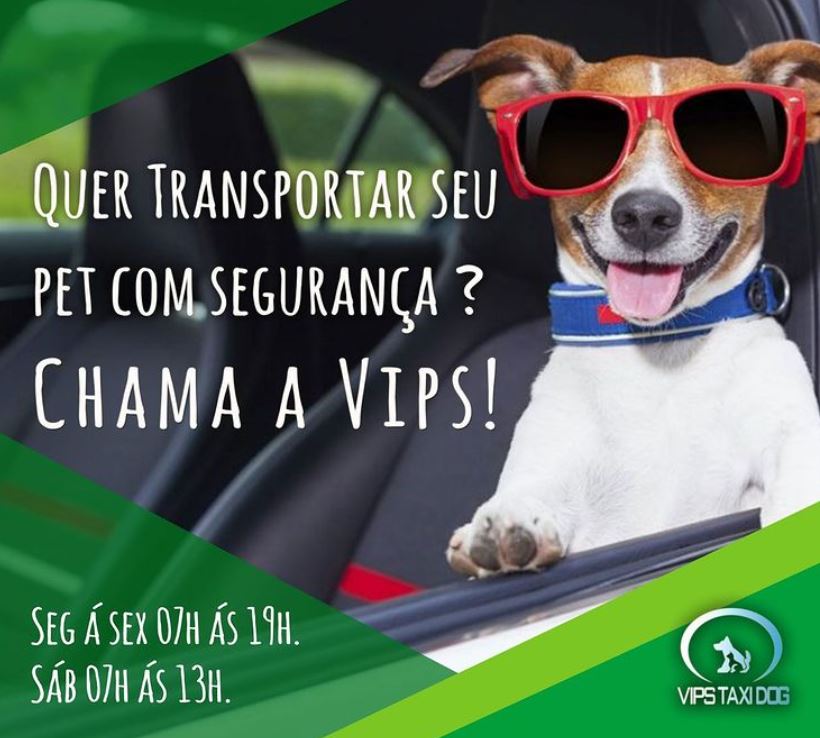 TAXI DOG NO RECREIO DOS BANDEIRANTES 