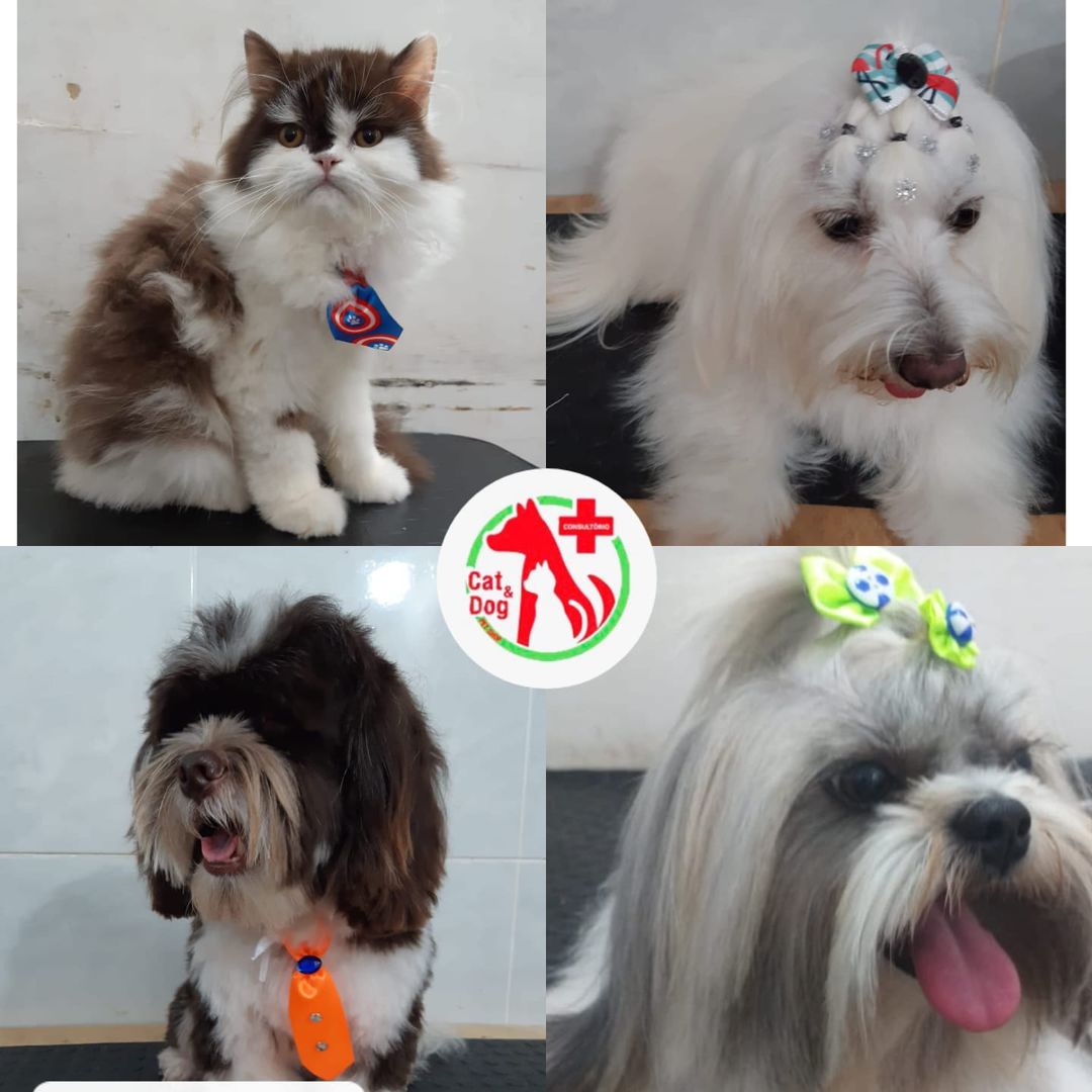 BANHO E TOSA EM CACOAL - RO