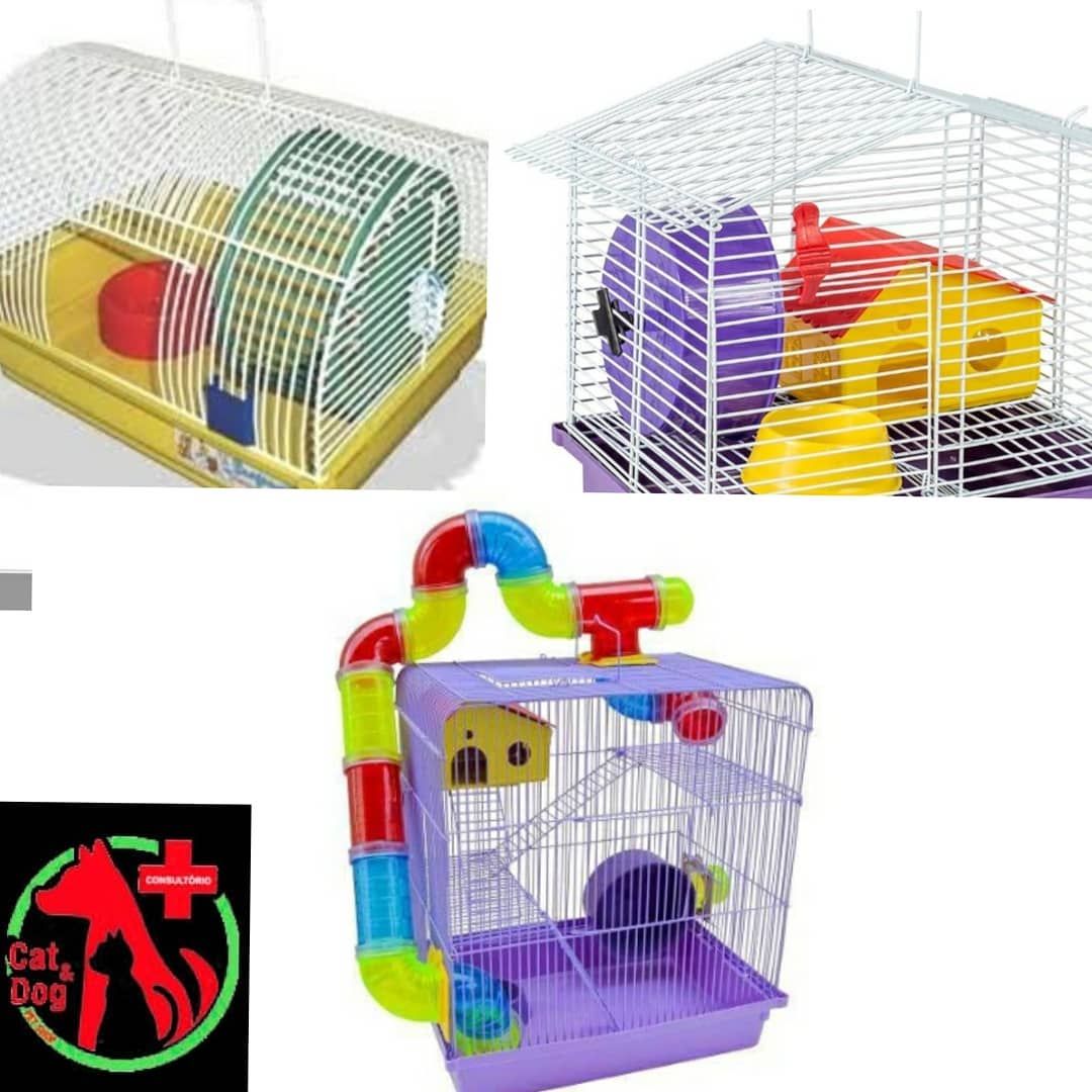 BANHO E TOSA EM CACOAL - RO