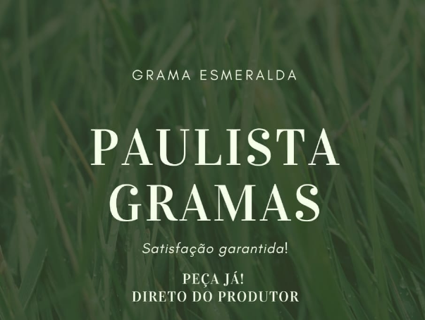Paulista Grama Esmeralda
