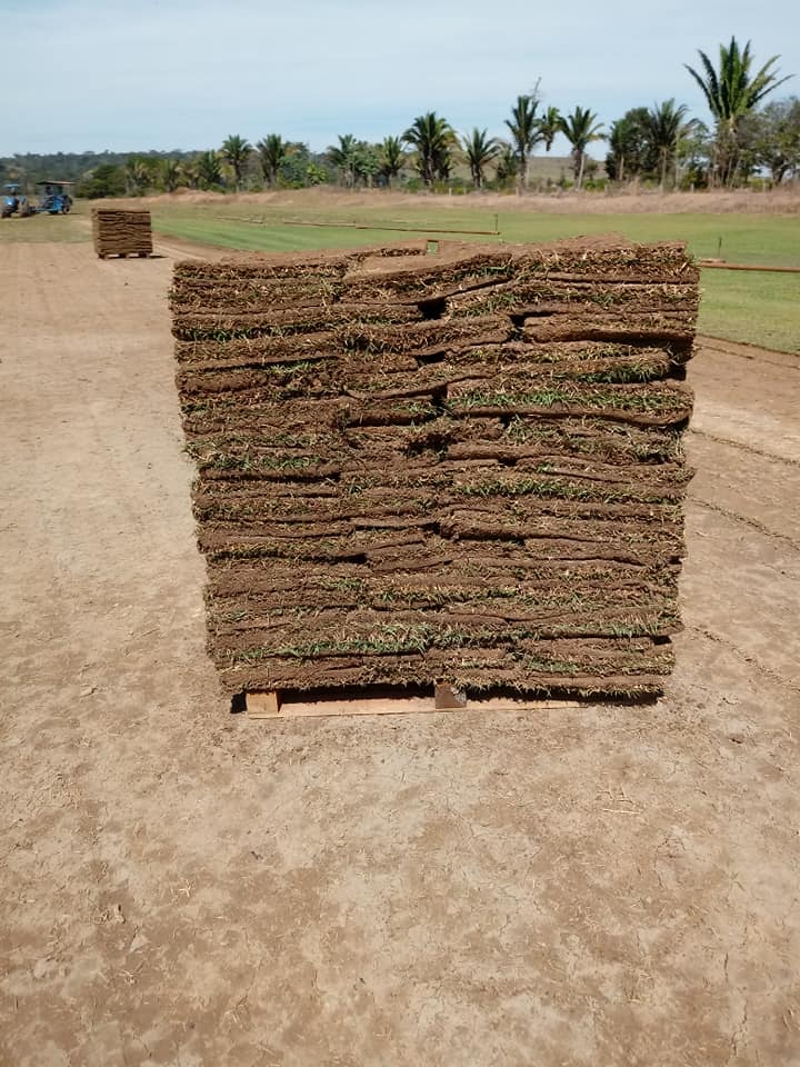 GRAMAS EM PORTO VELHO - RO