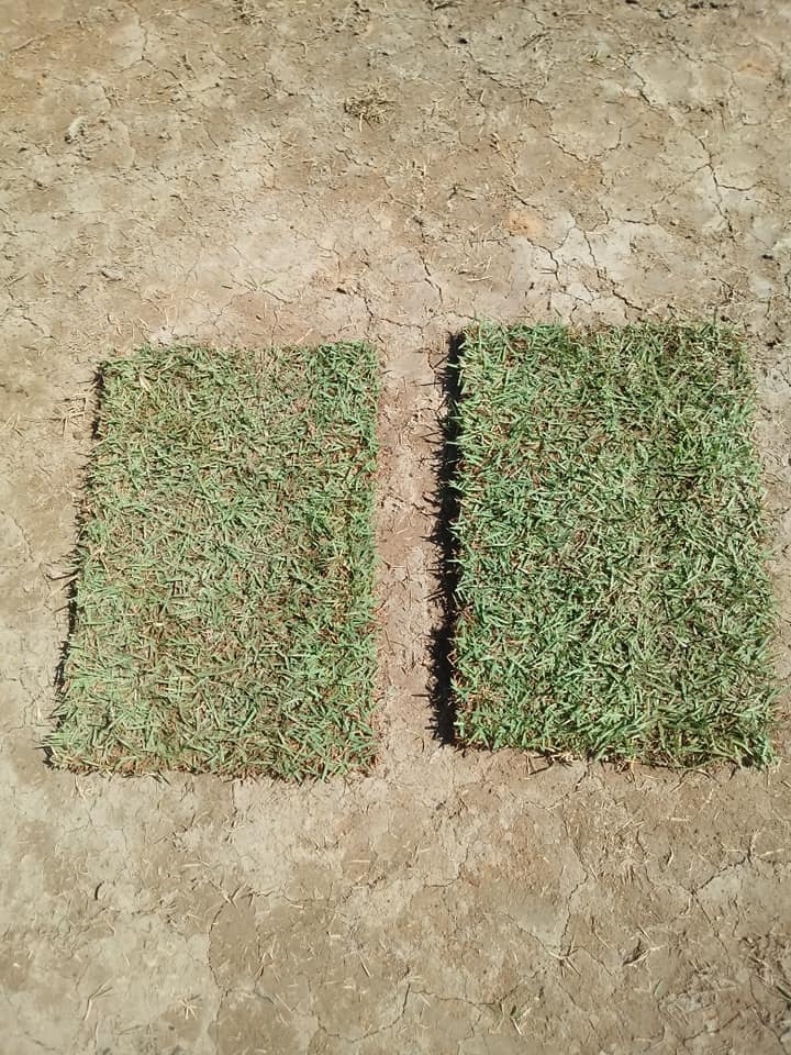 GRAMAS EM PORTO VELHO - RO