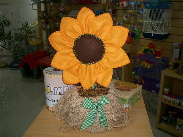 PET SHOP EM PETROPOLIS - GATOS.CAO - RJ