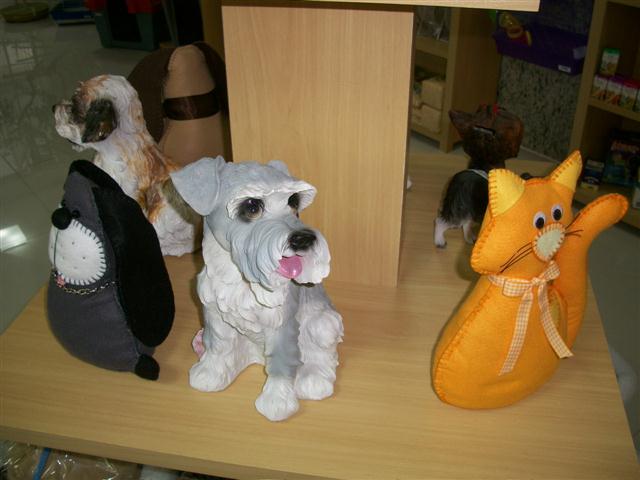 PET SHOP EM PETROPOLIS - GATOS.CAO - RJ