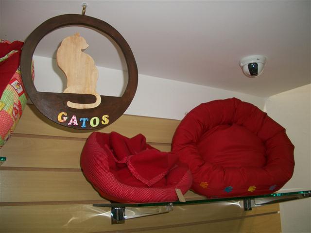 PET SHOP EM PETROPOLIS - GATOS.CAO - RJ