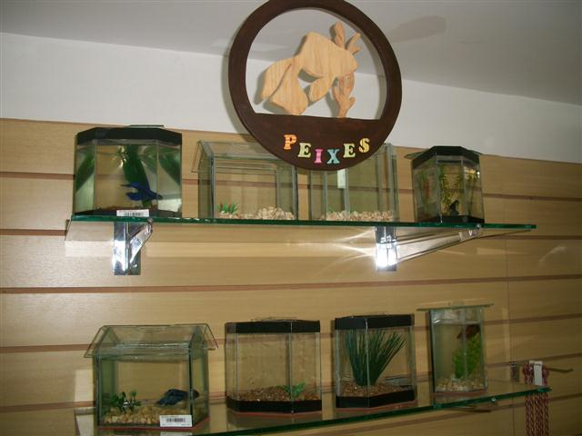 PET SHOP EM PETROPOLIS - GATOS.CAO - RJ