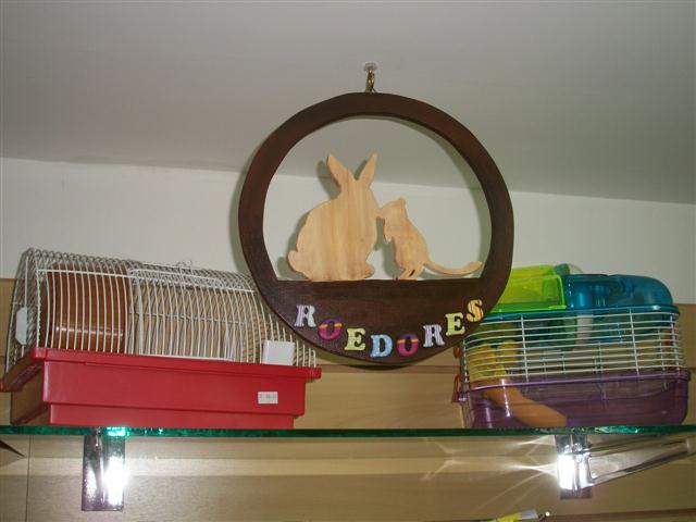 PET SHOP EM PETROPOLIS - GATOS.CAO - RJ