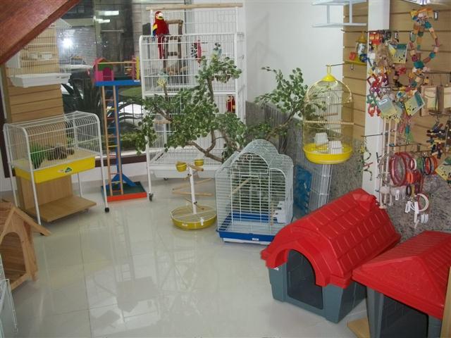 PET SHOP EM PETROPOLIS - GATOS.CAO - RJ