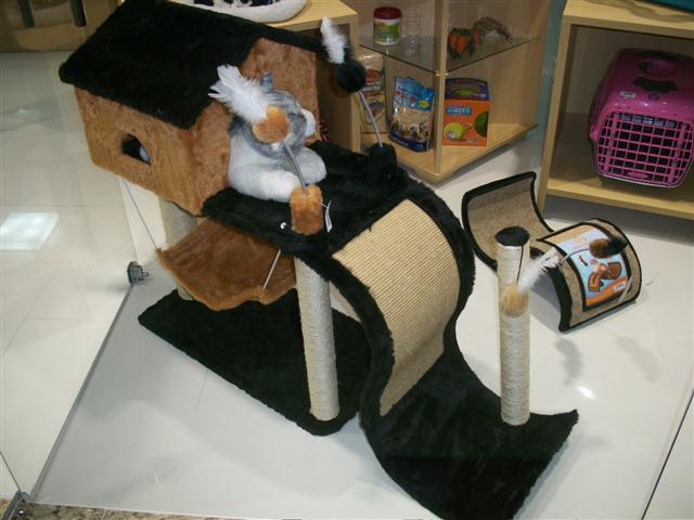 PET SHOP EM PETROPOLIS - GATOS.CAO - RJ