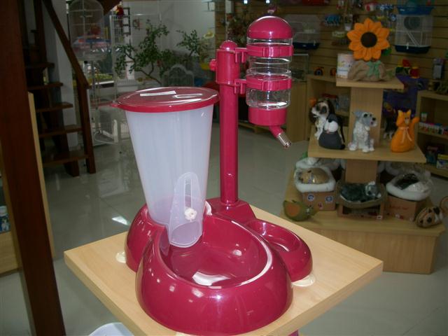 PET SHOP EM PETROPOLIS - GATOS.CAO - RJ