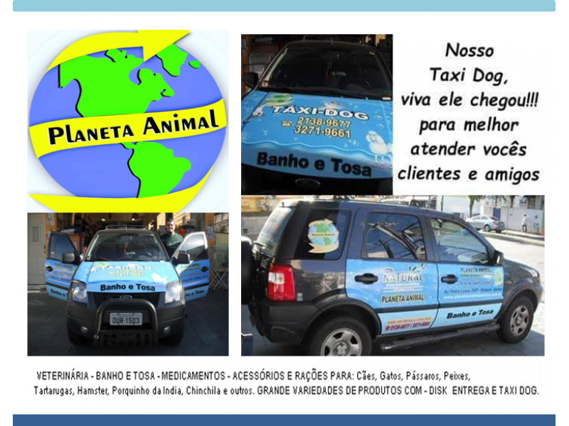 taxi-dog-em-santos-pet-shop-ligue-2138-9677-planeta-animal