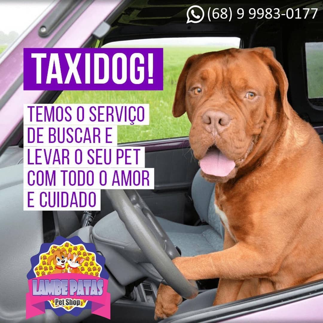PET SHOP EM RIO BRANCO - AC